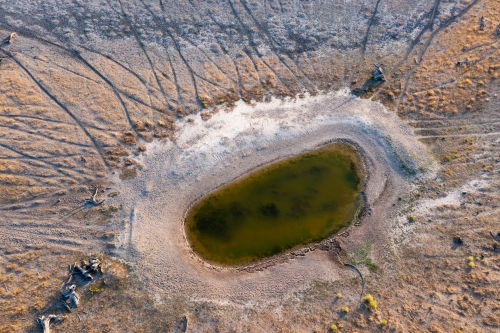 Aerial view of arid farmland with cattle tracks leading to a small waterhole
