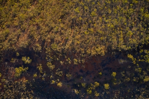 Aerial view of Australian bush on a hill. - Australian Stock Image