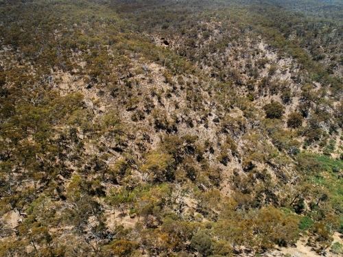 Aerial view of bushland - Australian Stock Image