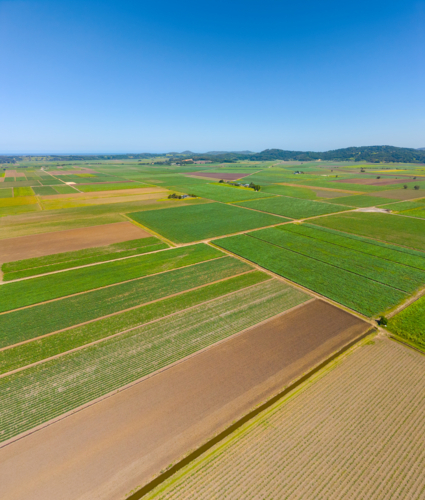 Aerial view of Cane Farms between Condong and Murwillumbah - Australian Stock Image