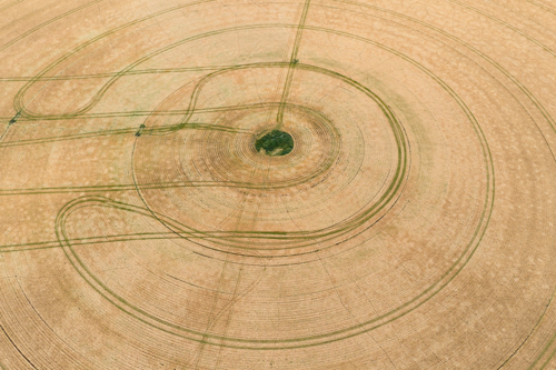 Aerial view of  circular wheel tracks in a farmers drying crop - Australian Stock Image