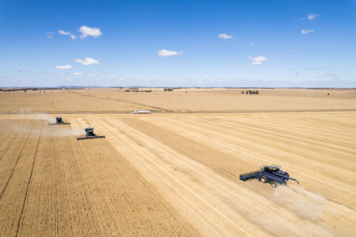 Aerial view of combine harvester in a field - Australian Stock Image