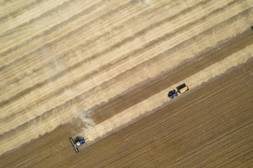 Aerial view of combine harvester in a field - Australian Stock Image