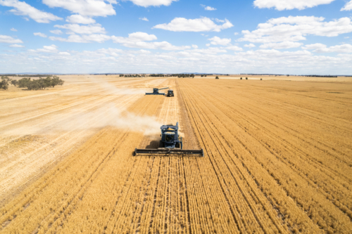 Aerial view of combine harvester in a field - Australian Stock Image
