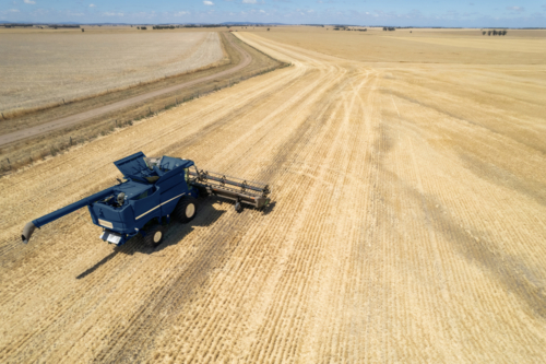 Aerial view of combine harvester in a field - Australian Stock Image