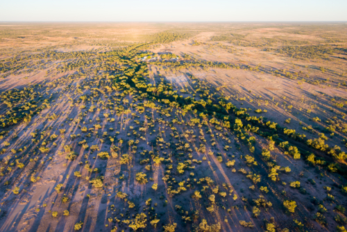 Aerial view of dry outback landscape with scattered trees casting long morning shadows. - Australian Stock Image