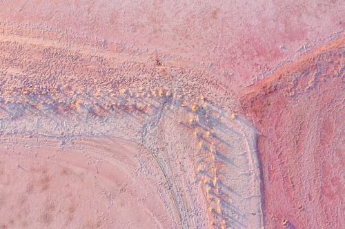Aerial view of fence line detail through a pink salt Lake - Australian Stock Image
