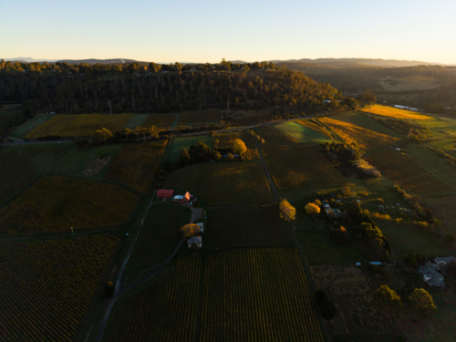 Aerial view of hillside and vineyards in the Tamar Valley - Australian Stock Image