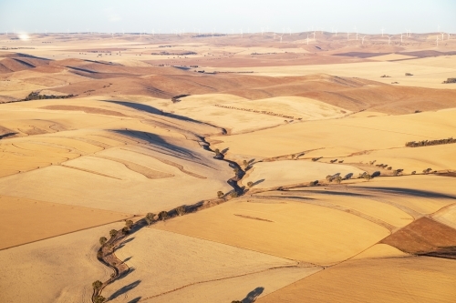 aerial view of hilly paddocks in summer - Australian Stock Image