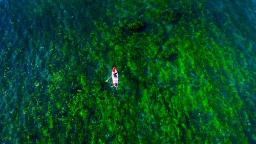 Aerial view of man riding a SUP standup paddle board at Sandon Point - Australian Stock Image