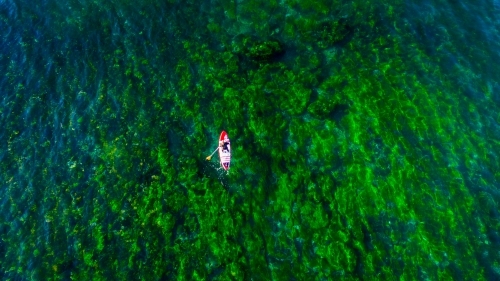 Aerial view of man riding a SUP standup paddle board at Sandon Point
