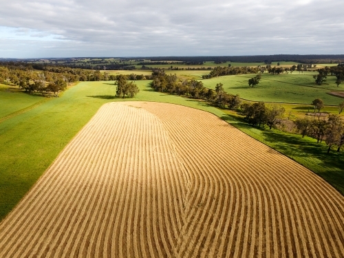 Aerial view of mown hay on a farming property