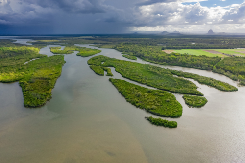 Aerial view of murky streams of water running through green mangrove wetlands - Australian Stock Image