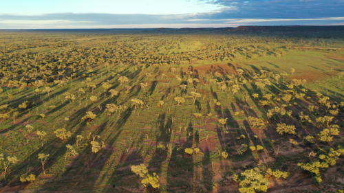 Aerial view of natural bushland - Australian Stock Image