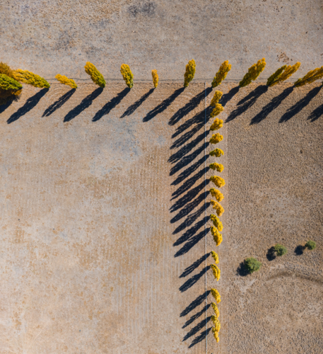 Aerial view of New England Autumn Colour - Australian Stock Image