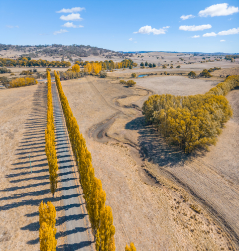Aerial view of New England Autumn Colour - Australian Stock Image