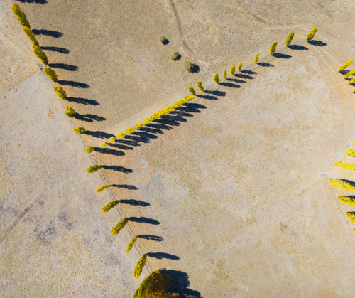 Aerial view of New England Autumn Colour - Australian Stock Image