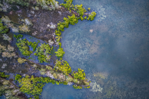 Aerial view of Ohmas Bay in Tuncurry, capturing its calm turquoise waters - Australian Stock Image