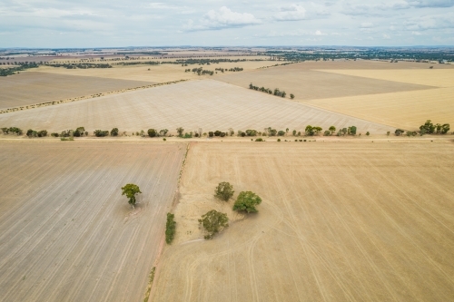 Aerial view of paddocks leading off into the distance in the Mallee. - Australian Stock Image