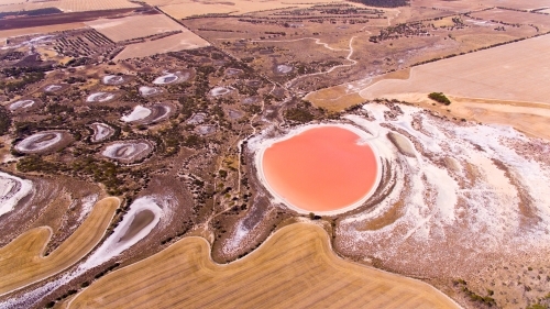Aerial view of pink salt lake in summer