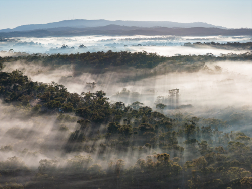 Aerial view of rays of light through fog over a forested valley and distant hills - Australian Stock Image