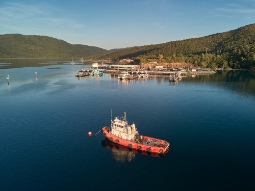 Aerial view of Shute Harbour and tugboat.