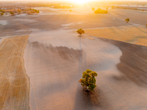 Aerial view of sunset over burnt farmland with scorched gum trees - Australian Stock Image