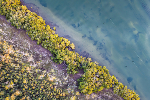 Aerial view of Tern Island in Tuncurry, showcasing its sandy shoreline - Australian Stock Image