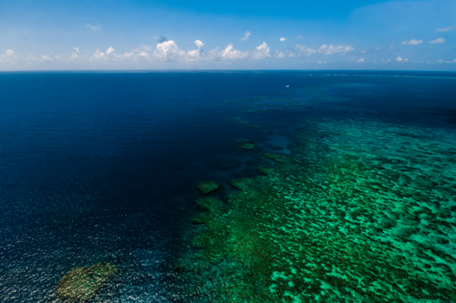 Aerial view of the Great Barrier Reef in Queensland, Australia - Australian Stock Image