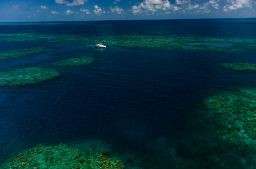 Aerial view of the Great Barrier Reef in Queensland, Australia - Australian Stock Image