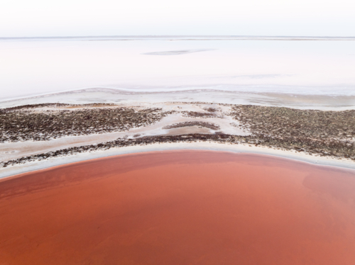Aerial view of the shoreline of a pink salt lake - Australian Stock Image