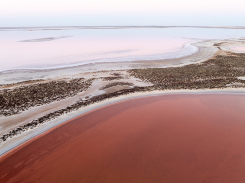 Aerial view of the shoreline of a pink salt lake - Australian Stock Image
