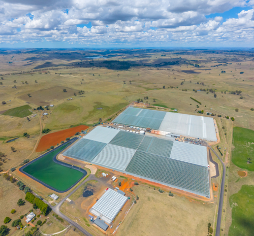 Aerial view of Tomato Farm in Guyra, New South Wales - Australian Stock Image