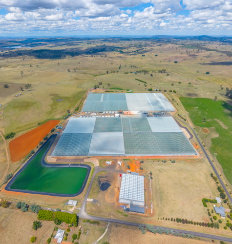 Aerial view of Tomato Farm in Guyra, New South Wales - Australian Stock Image