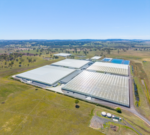 Aerial view of Tomato Farm in Guyra, New South Wales - Australian Stock Image