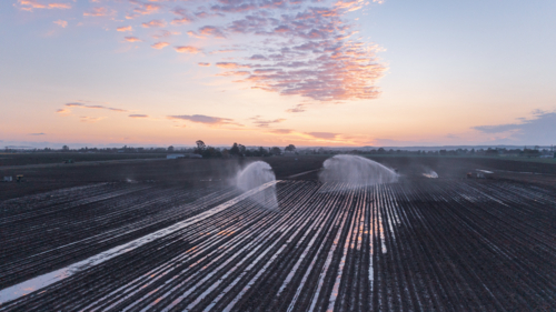 Aerial view of water irrigation on farm at dawn in Queensland - Australian Stock Image