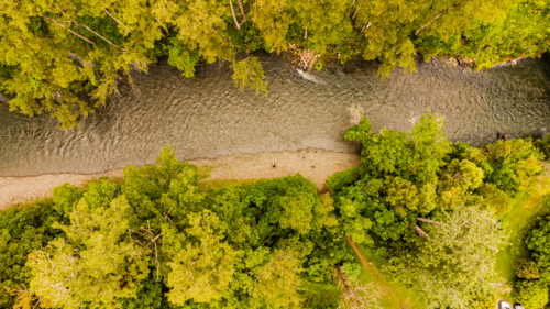 aerial view of winding river through dense green trees - Australian Stock Image