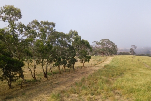 aerial view over foggy farmland in South Australia