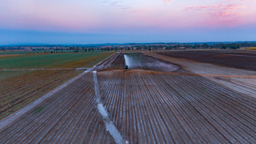 aerial view over irrigated farmland at dawn - Australian Stock Image