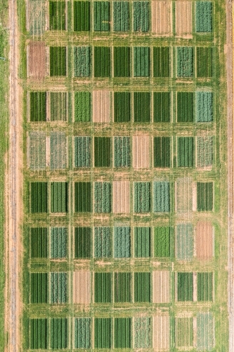 Aerial views of crop trials - Australian Stock Image