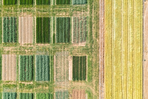 Aerial views of crop trials - Australian Stock Image