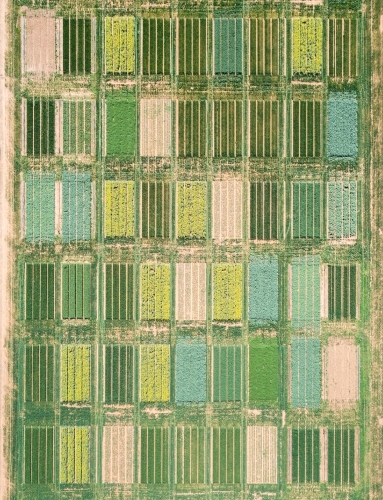 Aerial views of crop trials - Australian Stock Image