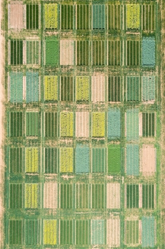Aerial views of crop trials - Australian Stock Image