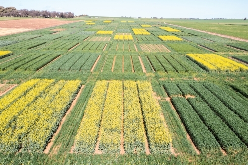 Aerial views of crop trials - Australian Stock Image