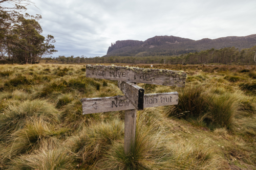 Afternoon landscape on the Arm River Track near Pelion hut on a warm autumn afternoon - Australian Stock Image