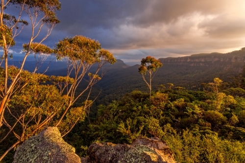 Afternoon light in the Blue Mountains as a storm came in - Australian Stock Image