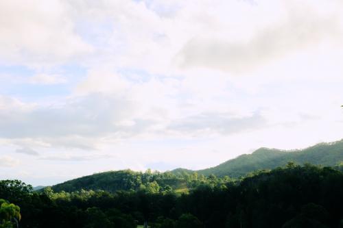 Afternoon light on a mountain