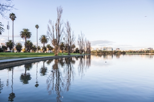 Albert Park Lake & Palms - Australian Stock Image