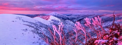 Alpenglow colour envelope the mountains surrounding Mount Hotham in the High Country - Australian Stock Image