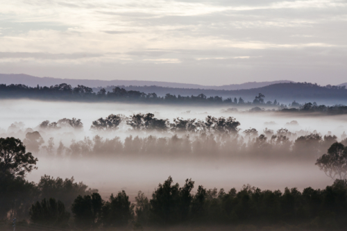 An aerial view across a valley at sunrise in the Hunter Valley, New South Wales, Australia - Australian Stock Image